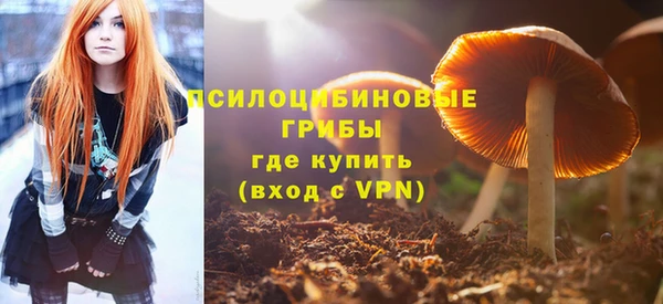 МДПВ Барнаул