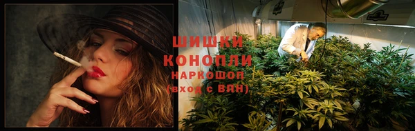 трава Киров