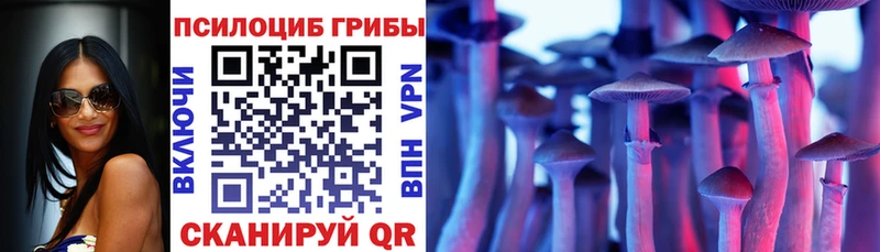 Псилоцибиновые грибы мицелий shop клад Богородск где купить наркоту