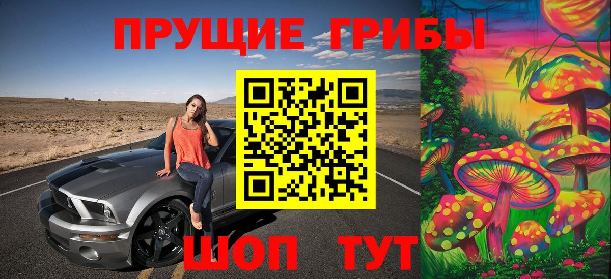 Псилоцибиновые грибы прущие грибы Богородск