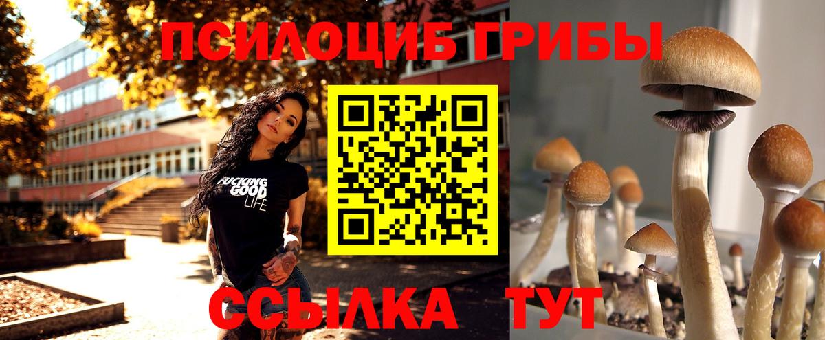 Галлюциногенные грибы Psilocybe  Вход с VPN  Галлюциногенные грибы Magic Shrooms  где купить наркоту  Богородск 
