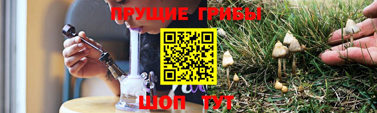 Псилоцибиновые грибы Magic Shrooms  Богородск 