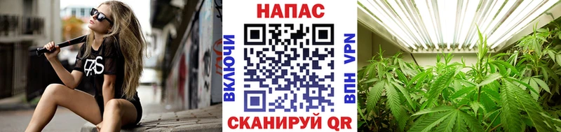 Канабис планчик  как найти   Богородск 